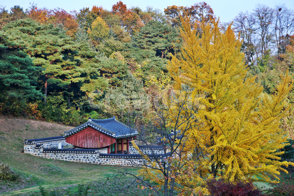 임영대군,사당,이구,제사,의왕시,신주,가을,계절,돌담,가을,계절,fall,autumn,season,한국전통,한국문화,korean traditional,korean culture,건축물,건물외관,exterior,building,structure,architecture,construction,nature,자연,outdoors,옥외,건물