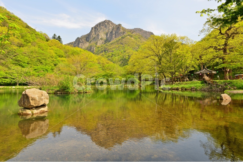 장성,백양사,신록,연두색,봄,계절,하늘,nature,자연,water,물,outdoors,옥외,lake,호수,자연,풍경,nature,landscape,한국자연풍경,한국자연경관,korea nature landscape