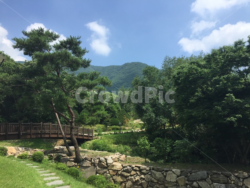 garden,tree,정원,가든,풍경,자연