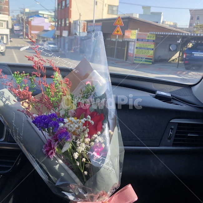 졸업식,꽃,색깔,플라워,flower,꽃,flower,기념일,축하,anniversary,congratulation,celebrate,celebration