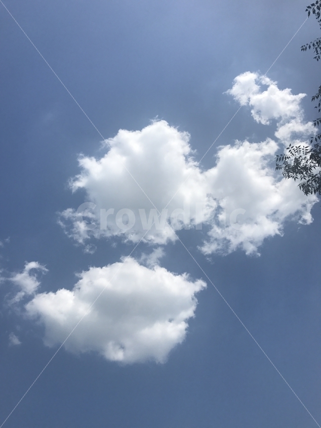 하늘,여름,구름,풍경,맑음,자연,풍경,nature,landscape,outdoors,옥외,sky
