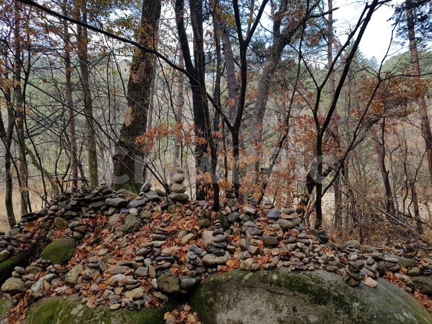 여행,가을,돌,소원탑,풍경,감성,강원도,가을,계절,fall,autumn,season,자연,풍경,nature,landscape,한국자연풍경,한국자연경관,korea nature landscape,한국전통,한국문화,korean traditional,korean culture,식물,plants,나무,trees,wood,종교,신앙,religion,belief,faith,ground,바닥,rubble,파편