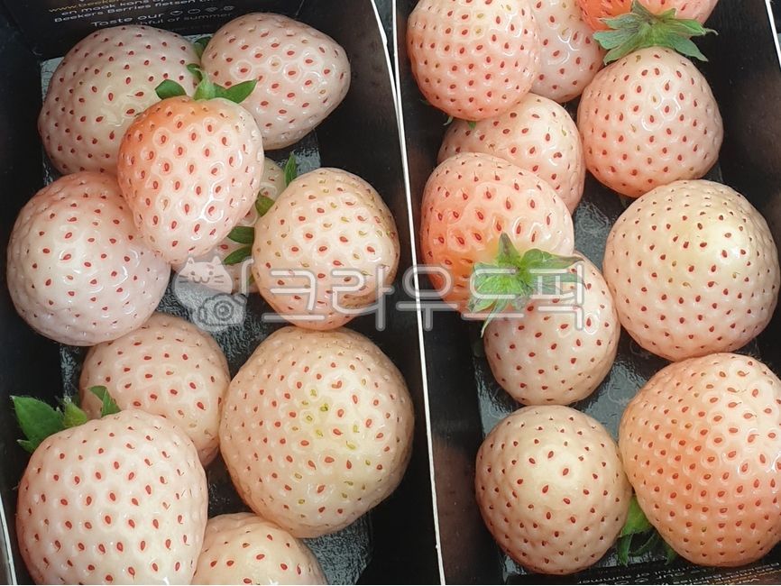 하얀딸기,딸기,화이트베리,whitestrawberry,strawberry,파인베리,pineberry