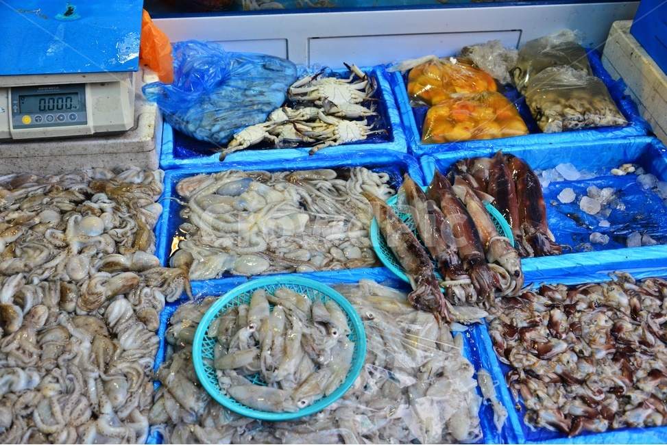 lobster,market,시장,sealife,해양생물,seafood,해물,food,animal,동물,헤산물,수산물,식재료,음식,수산시장,오징어,게,한치,멍게,시장,마트,마켓,market,mart,market place