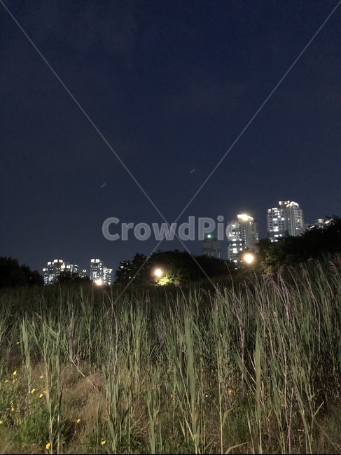 풀,공원,밤,아파트,산책
