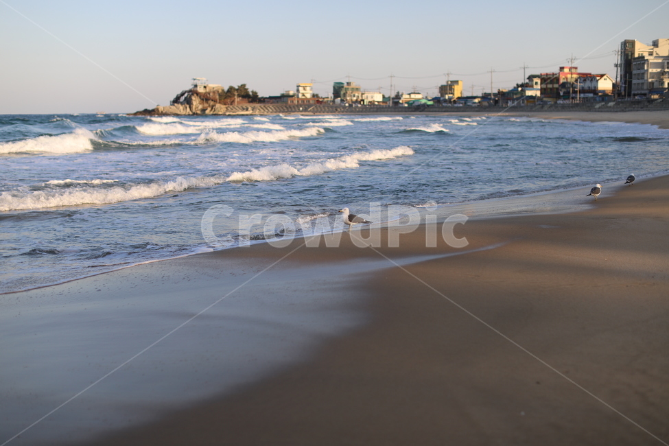 파도,안목해변,강릉,바다,동해,분위기,감성,물,갈매기,자연,풍경,nature,landscape,해변,바다,beach,sea,ocean,대양,outdoors,옥외,water,shoreline,해안선,coast,연안,바닷가