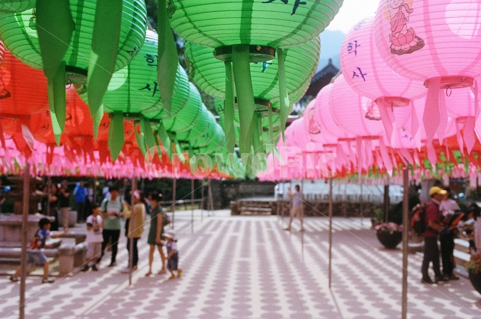 필름,연등,절,소망,부처님오신날,필름사진,연등회,소원,간절함,film,filmphotography,스냅,스냅사진,snap,사람들,대중,군중,other people,crowd,종교,신앙,religion,belief,faith,축제,행사,festival,carnival,event,기념일,축하,anniversary,congratulation,celebrate,celebration