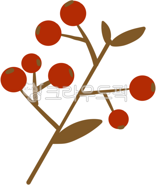 tree branch,maple tree,autumn tree,autumn,maple,maple leaf,fall,autumn fruit,fruit,red fruit,red fruit