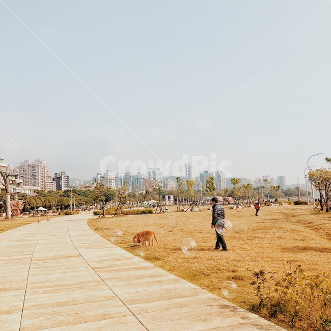 공원,park,산책,walk,dog,개,강아지,풍경,person,사람
