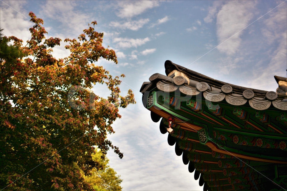 덕수궁,서울,여행,궁,고궁,기와,궁전,건축,경운궁,처마,단청,한옥,deoksugungpalace,deoksugung,palace,seoul,korea,koreatraditional,traditional,architecture,rooftile,ancient,eaves,dancheong,koreantraditionalpaintwork,travel,trip,건축물,건물외관,exterior,building,structure,architecture,construction,한국전통,한국문화,korean traditional,korean culture
