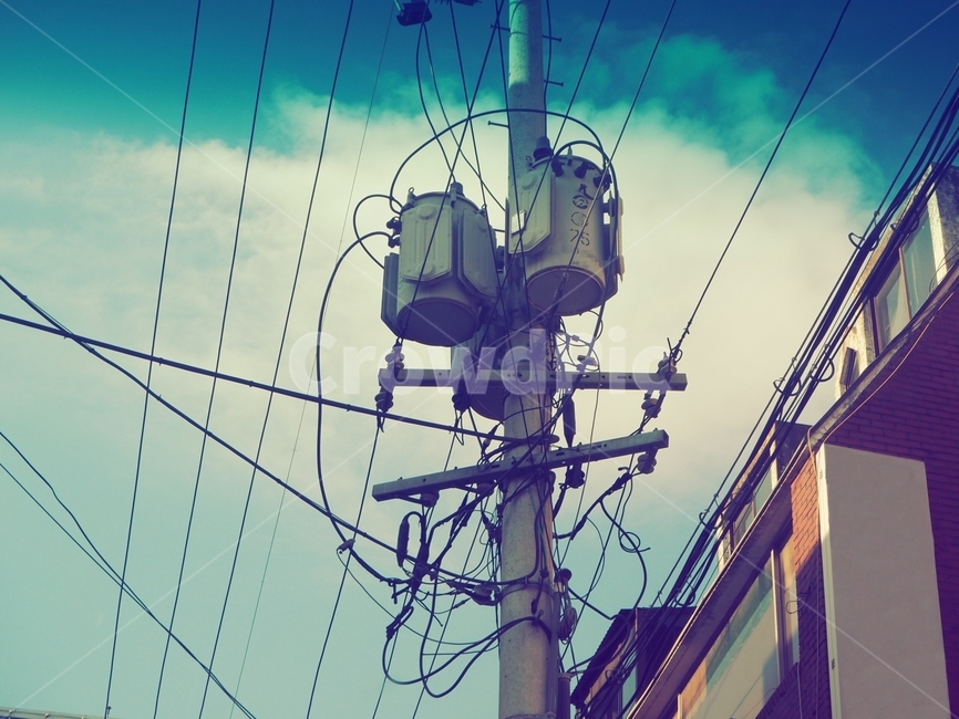 하늘,건물,전기,전기줄,electricity