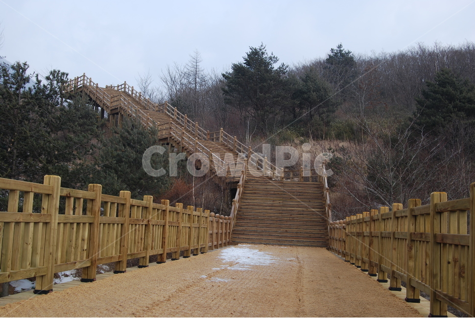 노인봉,오대산,100대명산,소금강,강원,산행,힐링,자연,감성,등산,계절,여행,한국,한국명산,한국등산,풍경,눈,나무,하늘,바람,바람소리,환경,생태계,산,땅,겨울,계절,winter,season,자연,풍경,nature,landscape,한국자연풍경,한국자연경관,korea nature landscape,wood
