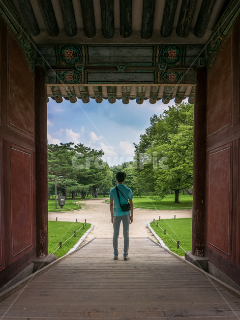 한국,서울,전통,입구,궁,문