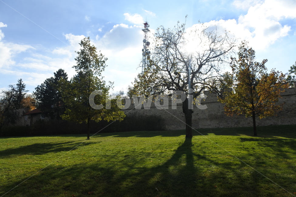 자연풍경,하늘,나무,공원,구름,자연,여름,봄,landscape,풍경,sky,tree,cloud,park,green