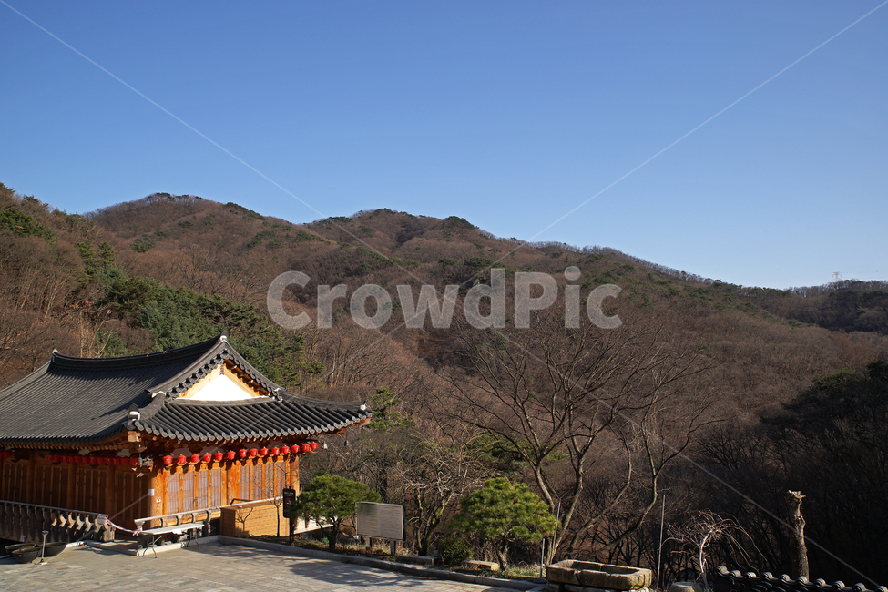 청계사,청계산,의왕시,불교사찰,사찰,절