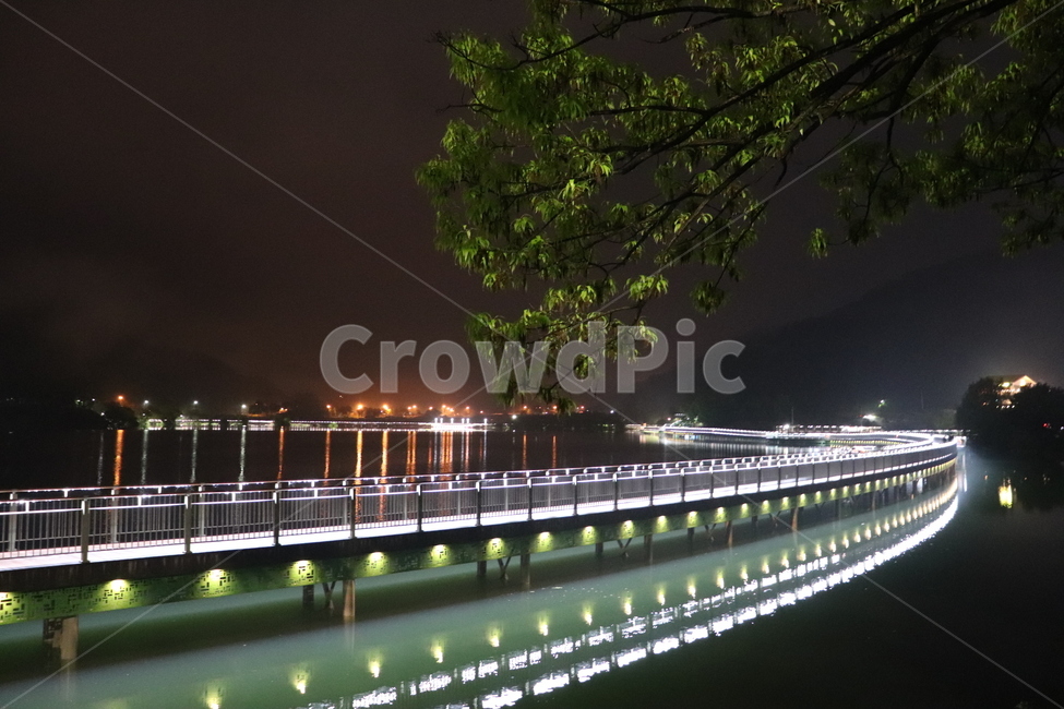 자연,nature,호수,강물,나무,tree,야경,밤,night,불빛,조명