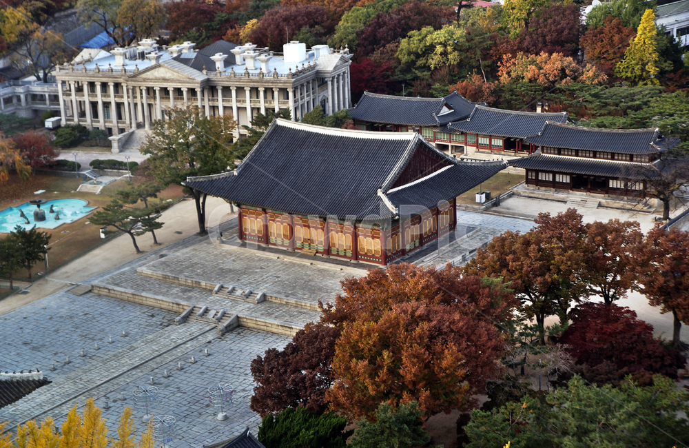 덕수궁,궁궐,가을,자연,도심,중화전,석조전,한국전통,한국문화,korean traditional,korean culture