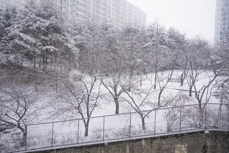 눈,겨울,눈오는날,snow,아파트단지,겨울,계절,winter,season,도시,풍경,city,landscape,한국도시풍경,한국도시경관,korea cityscape,nature,자연,blizzard,눈보라,storm,폭풍,outdoors,옥외