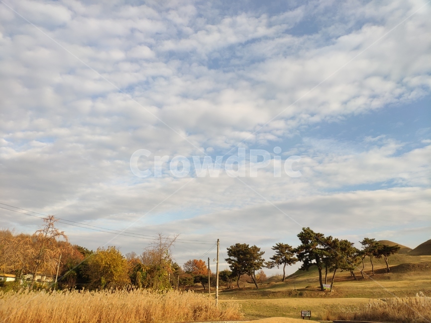 대구,불로동,고분군,풍경,배경,자연,풍경,nature,landscape,outdoors,옥외