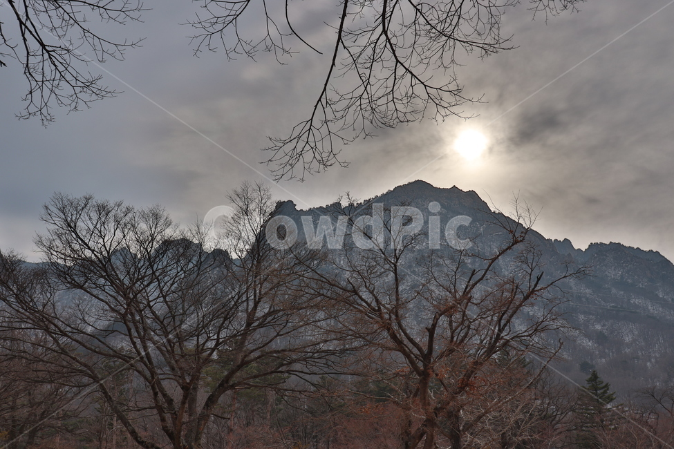 설산,설악산,속초,산,겨울산
