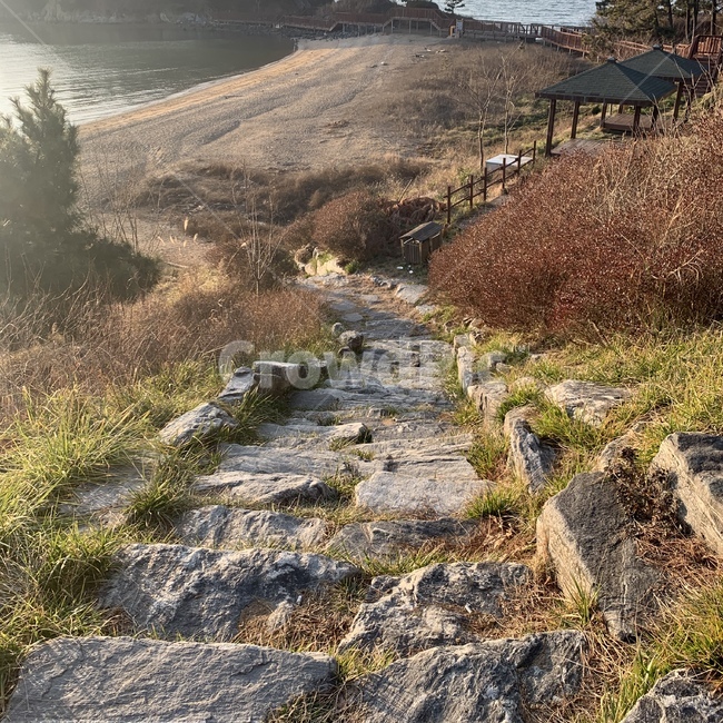 ground,바닥,nature,자연,outdoors,옥외,계단,돌