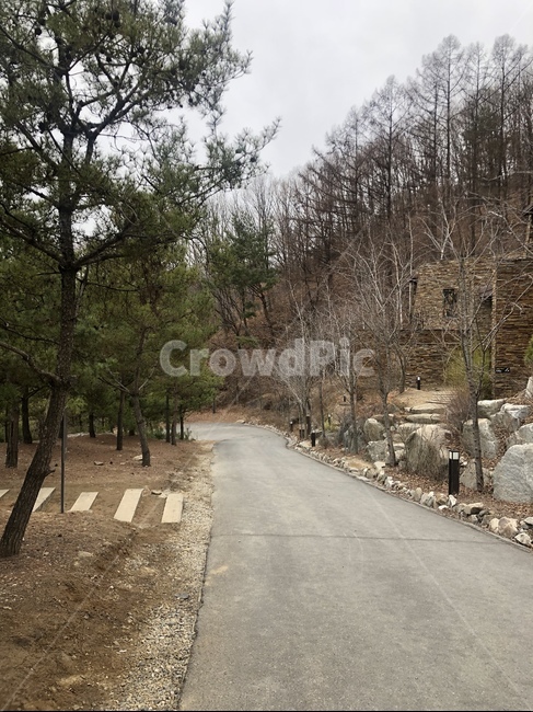 길,산책로,나무,산책,힐링,자연,풍경,nature,landscape,asphalt,아스팔트,road,도로,plant,식물,tree