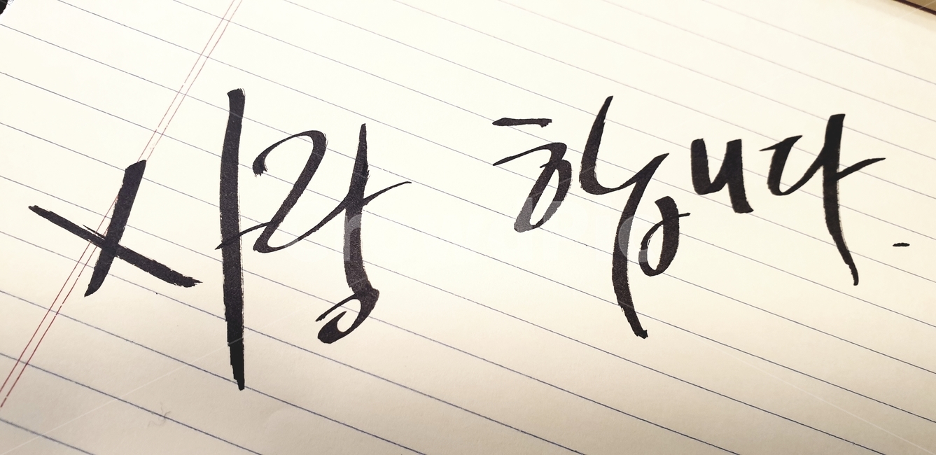 필적,text,handwriting,사랑,러브,live,이쁜글씨체,손글씨,펜글씨,고백