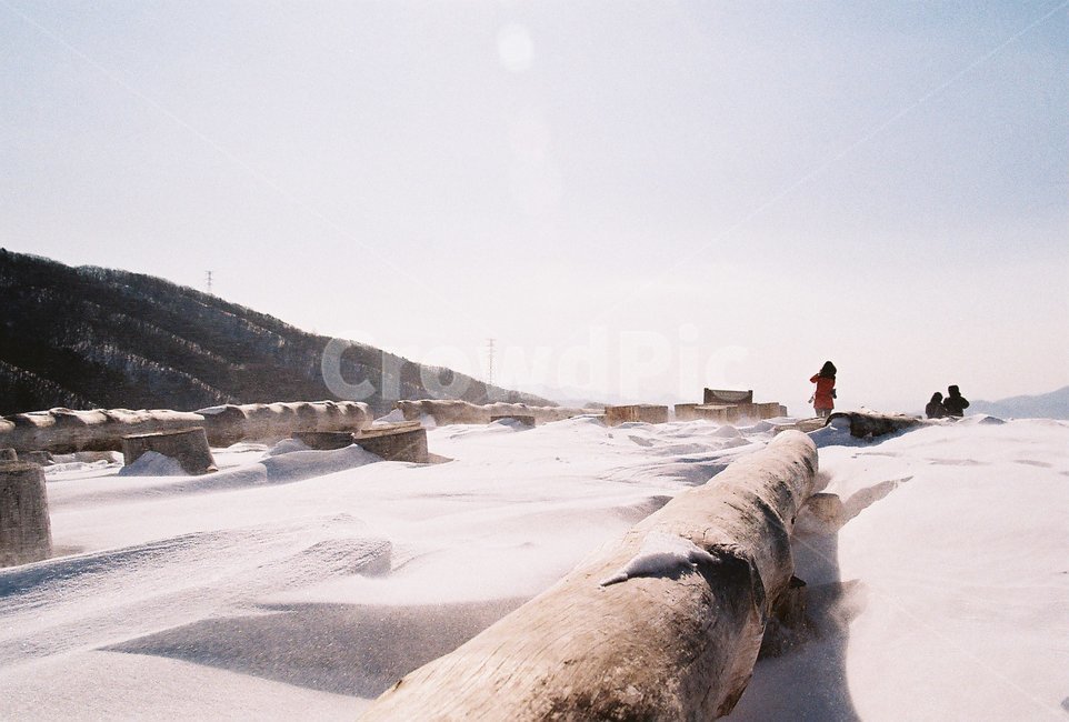 바람,눈,함박눈,대관령,사람,감성,분위기,snow,wind,겨울,filmphoto,필름,나무,풍경,겨울,계절,winter,season,자연,풍경,nature,landscape,사람,인물,인간,human,person,wood