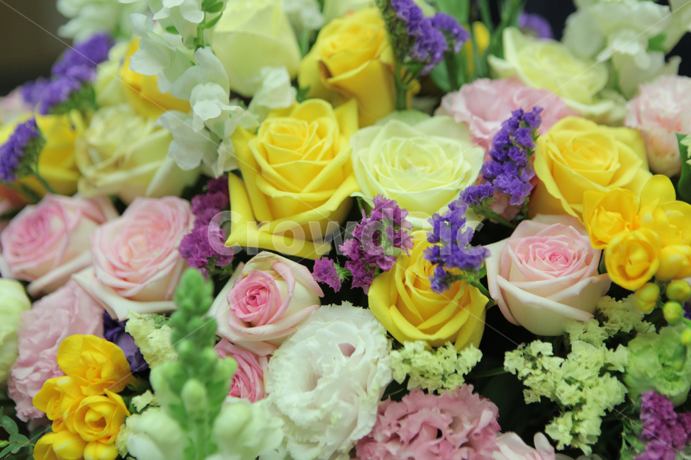 꽃,식물,꽃꽂이,꽃다발,장미,배경,부케,plant,flowerarrangement,blossom,flowerbouquet,flower,rose