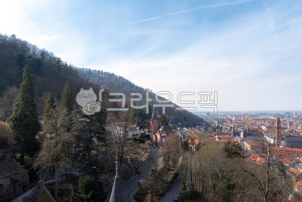 유럽,europe,독일,germany,하이델베르그,heidelberg,중세도시,medievalcity,도시풍경,cityscape,빌딩,building,건축물,architecture,강,river,자연경관,naturallandscape,집,houses,교육도시,educationcity,roof,지붕,nature,자연,outdoors,옥외