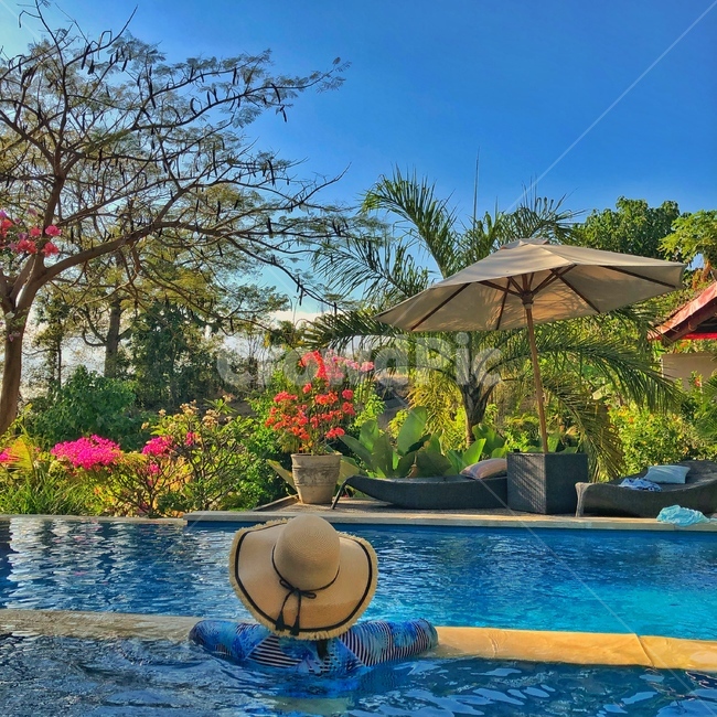 발리,풀빌라,인도네시아,여행,수영장,파라솔,열대나무,인피니티풀,poolvilla,bali,swim,뒷모습,여자뒷모습,수영복,swimsuit,래쉬가드
