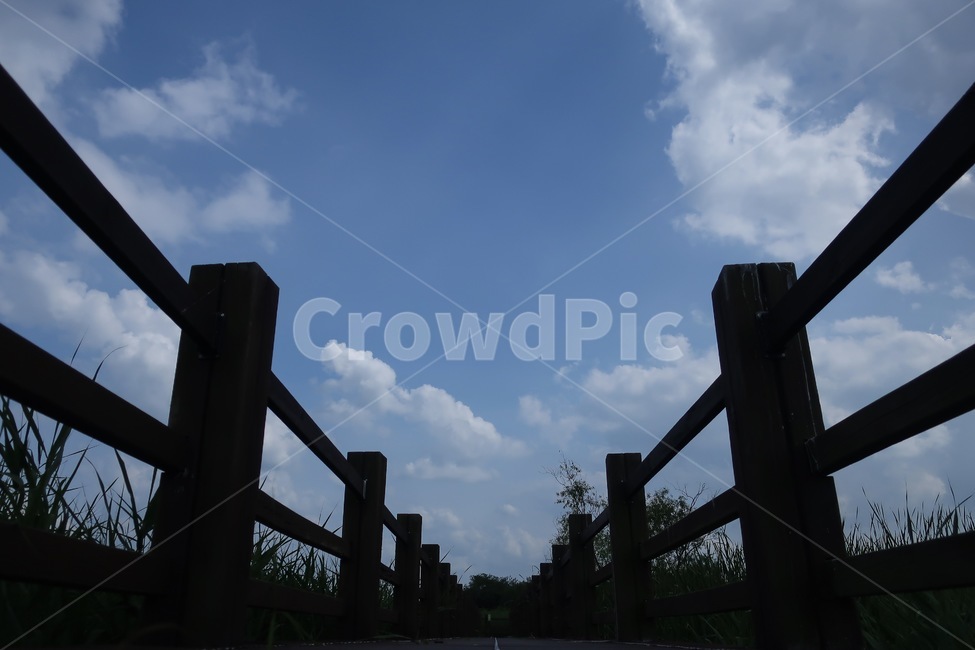 여름하늘,하늘풍경,하늘,푸른하늘,맑은하늘,자연,풍경,nature,landscape,outdoors,옥외,weather,날씨