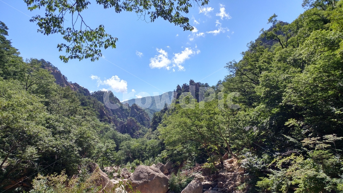 설악산,하늘,나무,하늘색,초록색