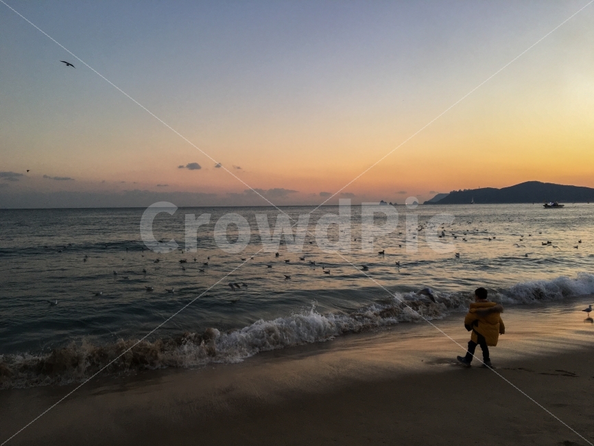 해운대,노을,바다,여행,sunset,사람,인물,인간,human,person,자연,풍경,nature,landscape,해변,바다,beach,sea,outdoors,옥외,water,물,ocean,대양,bird,새,animal,동물