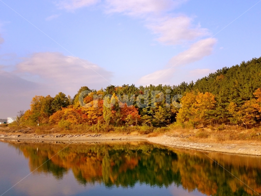 감성사진,가을,가을사진,나무,꽃,내가김작가,예쁜사진,힐링사진,힐링,운동,강,하늘,바다,반영,갈색,내가찍은사진,가을,계절,fall,autumn,season,자연,풍경,nature,landscape,한국자연풍경,한국자연경관,korea nature landscape,water,물,outdoors,옥외,lake,호수