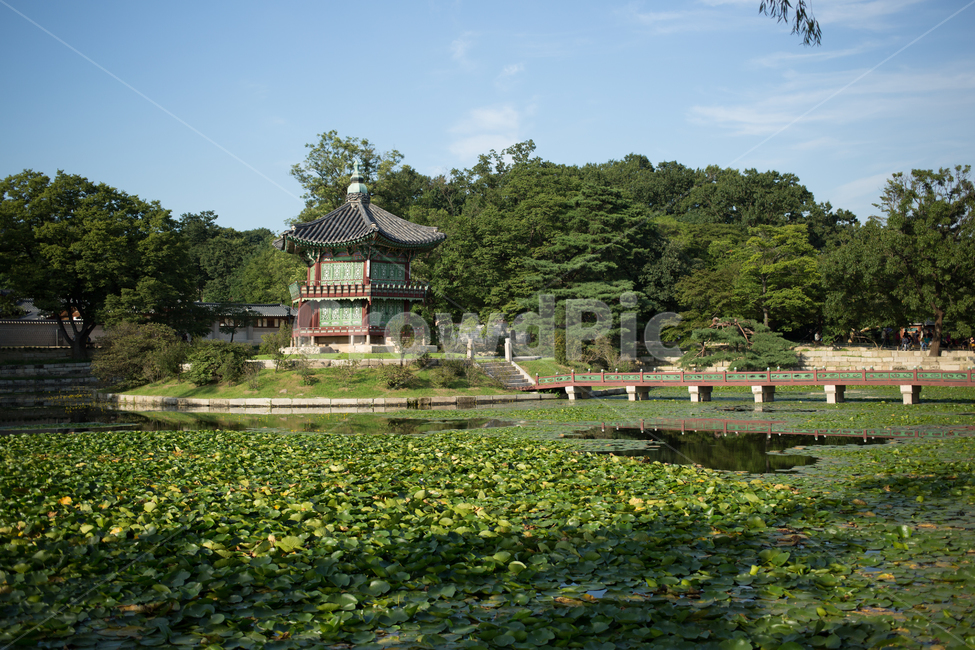 경복궁,향원정,서울,구름,하늘,숲,자연,고궁,한국,한국전통,한국문화,korean traditional,korean culture,건축물,건물외관,exterior,building,structure,architecture,construction