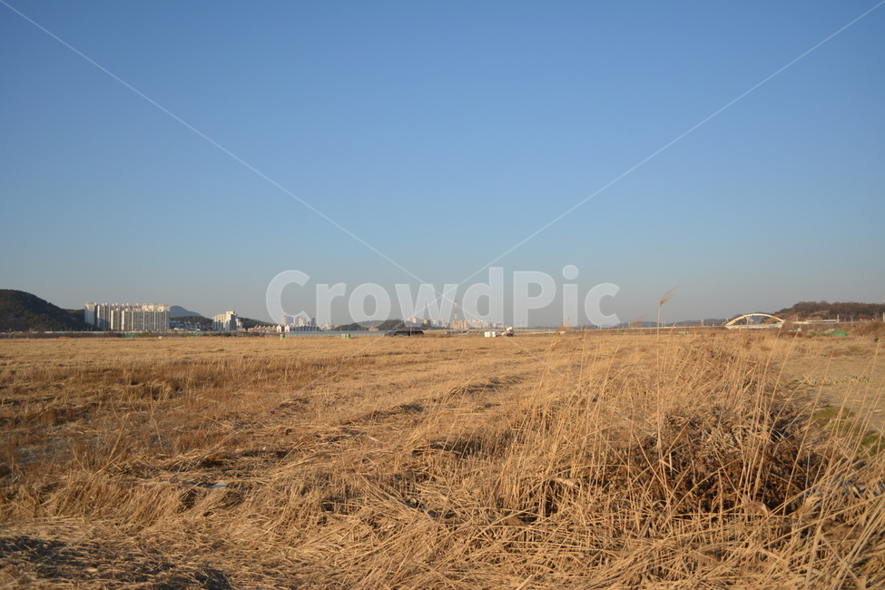 nature,자연,들판,겨울,바닥