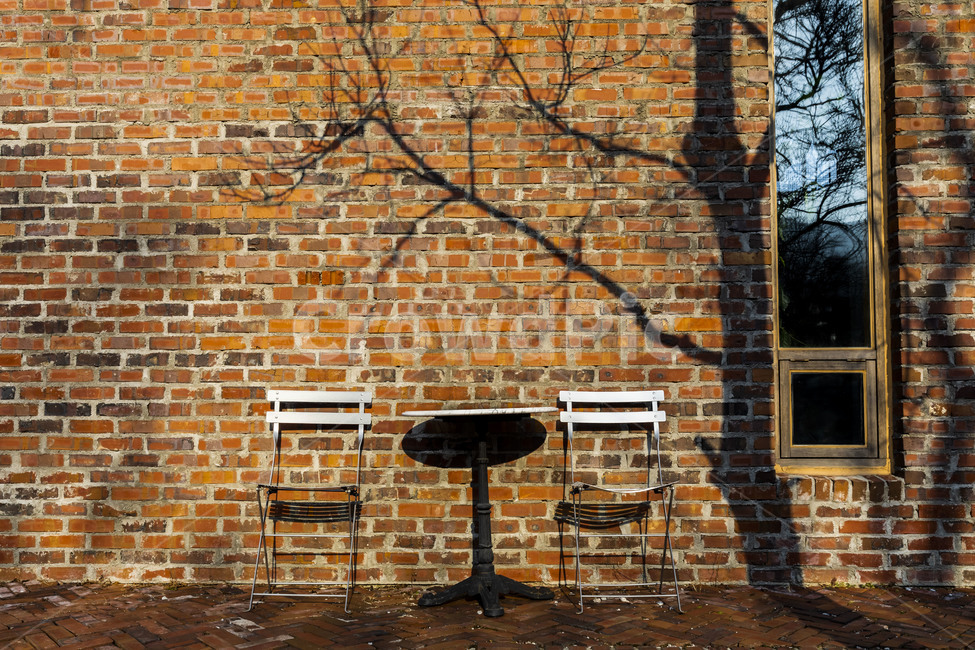 Terrace,cafe,shadow,old tree,chair,sight,Emotion,brick,outdoor cafe,table