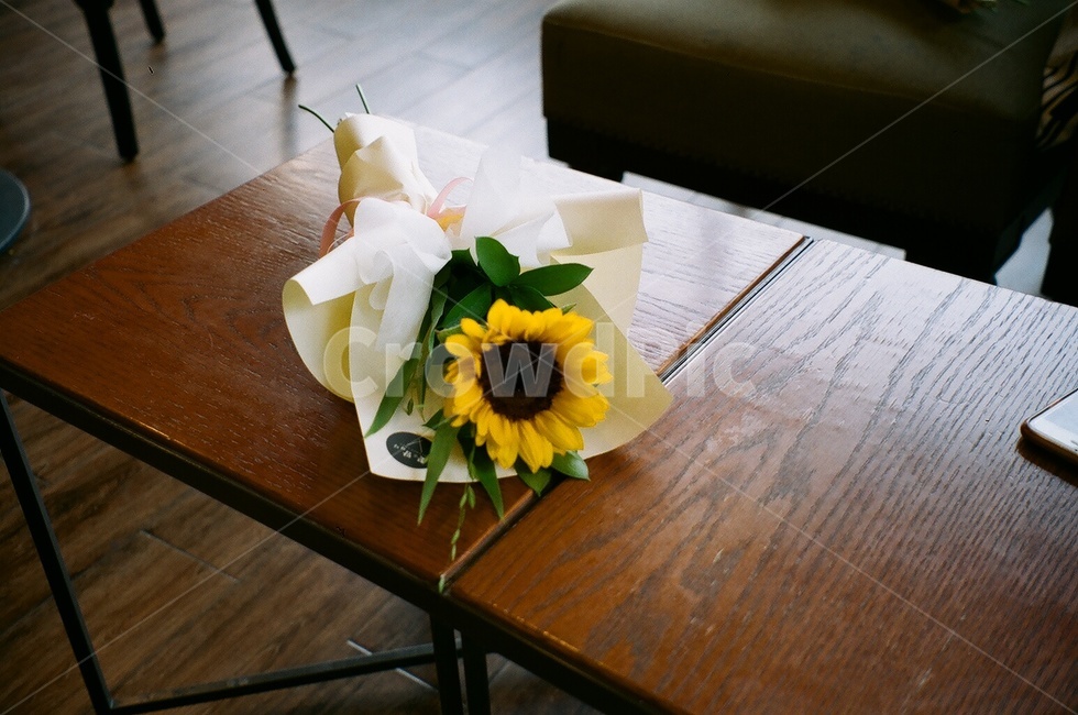 필름,꽃,해바라기,감성,가구,꽃,flower