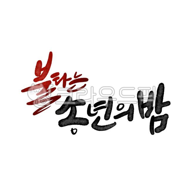 예수님,기독교,개신교,교회,교회캘리,하나님,성탄절,크리스마스교회,성경,신앙,교회캘리그라피,손글씨,캘리,성탄,송년의밤