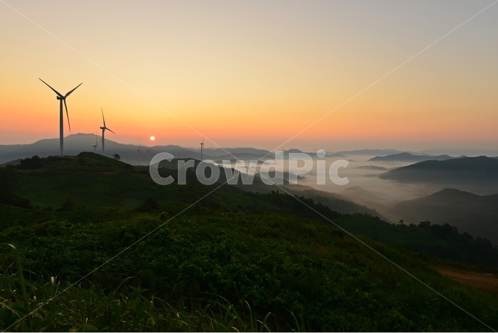 영암,서광목장,서광목장여명,서광목장운해,서광목장일출,풍력발전단지,nature,자연,outdoors,옥외
