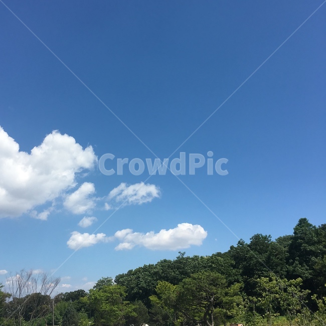 구름,자연,날씨,nature,sky,하늘,자연,풍경,nature,landscape