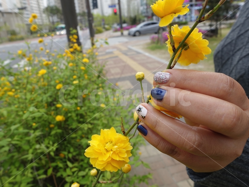 꽃,거리,네일,손톱,향기,일상,느낌,감성,네일아트,변신,여자,여성,미,아름다움,꾸미기,손,손끝,식물,자연,plants,nature,꽃,flower,사람,인물,인간,human,person,신체일부,몸,body,뷰티,미용,beauty treatment