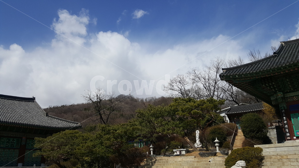 절,사찰,종교,봉원사,대웅전