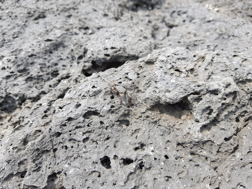 바다,제주,제주도,돌,구멍,자연,풍경,nature,landscape,rock,록,ground,바닥