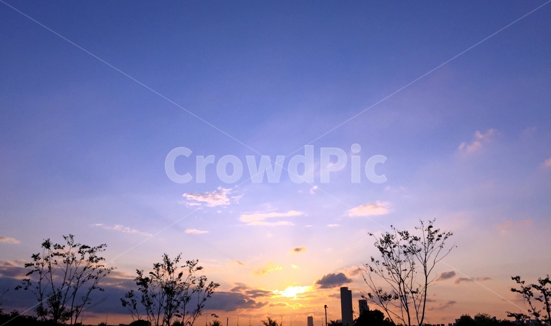 seoul,sky,sunset,shadow,cloud,pastel,tone,silhouette,rising,banpo,park,자연,풍경,nature,landscape,outdoors,옥외,하늘,dusk,황혼,일몰,red sky,붉은 하늘,dawn,새벽