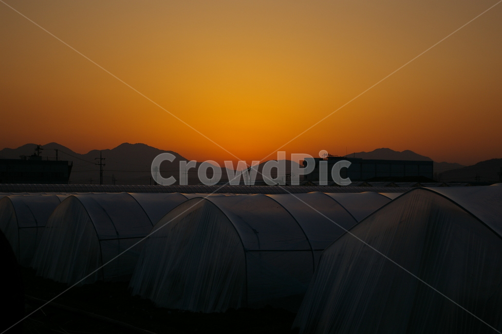 일몰,비닐하우스,농촌,풍경,노을,논,산업,industry,industrial,농업,농사,agriculture,farming,farming industry
