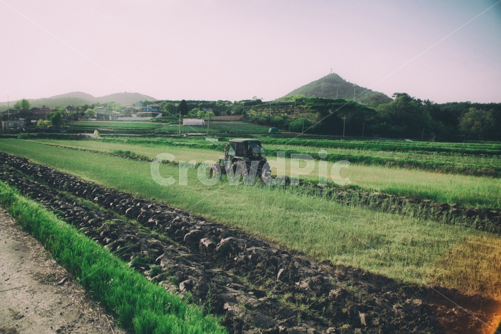 시골,풍경,밭,트렉터,농사,시골사진,풍경사진,자연,자연사진,농장,country,ladnscape,nature,farm,tractor,자연,풍경,nature,landscape,시골,마을,country,rural,town,감성,sensible,feeling,산업,industry,industrial,농업,농사,agriculture,farming,farming industry,outdoors,옥외