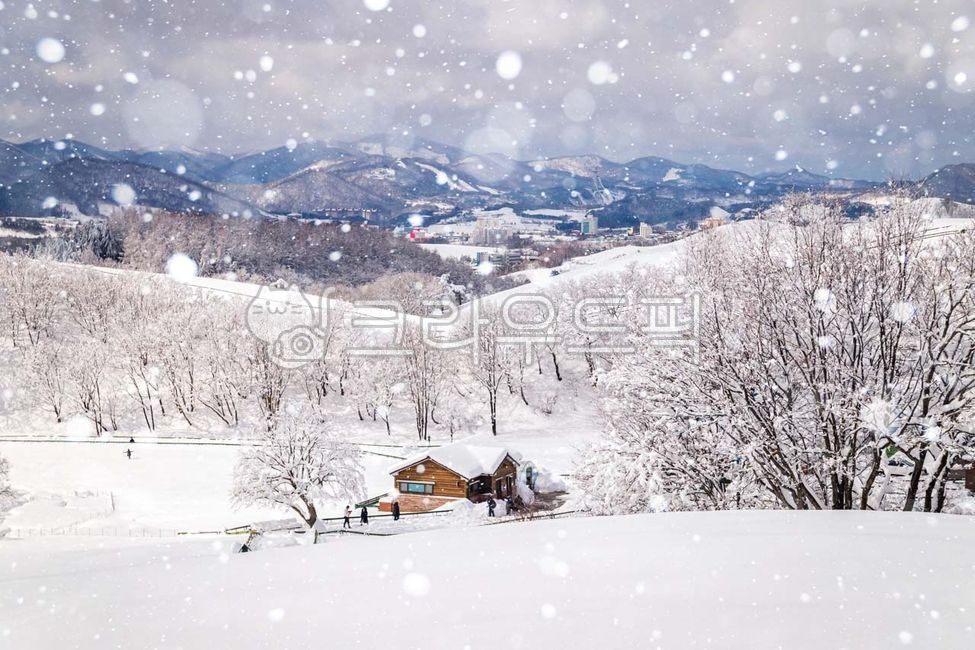 nature,outdoors,housing,눈내리는풍경,설원,눈,snow,설경
