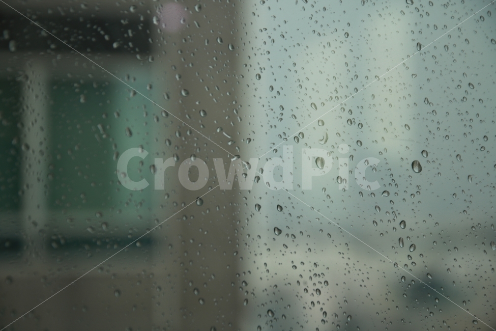 대전,시청,카페,빗방울,감성,비,비오는날,rain,rainy
